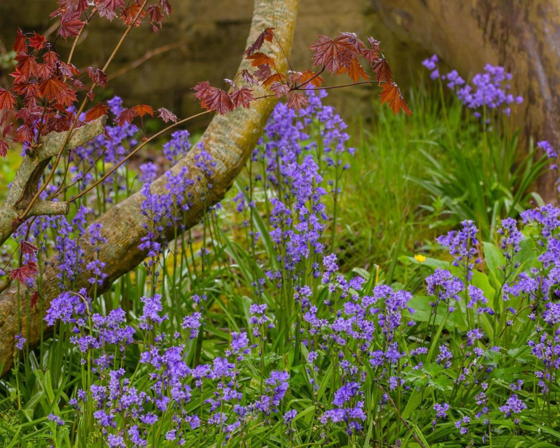 Bed and Breakfast Sennen House Warrenpoint Zewnętrze zdjęcie